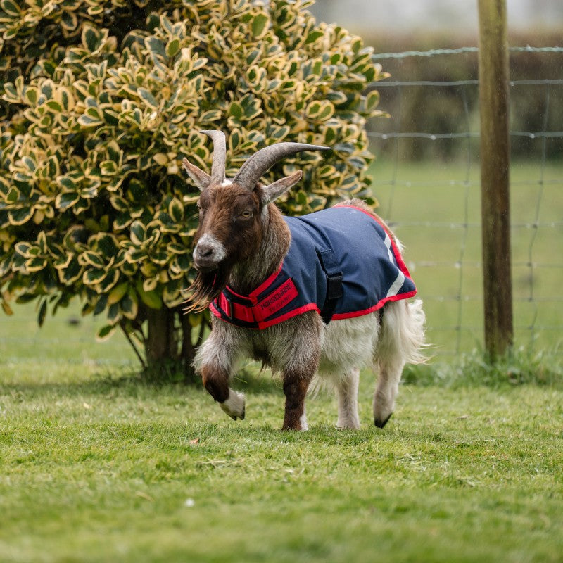 Horseware - Couverture pour chèvre marine/ rouge 0g | - Ohlala