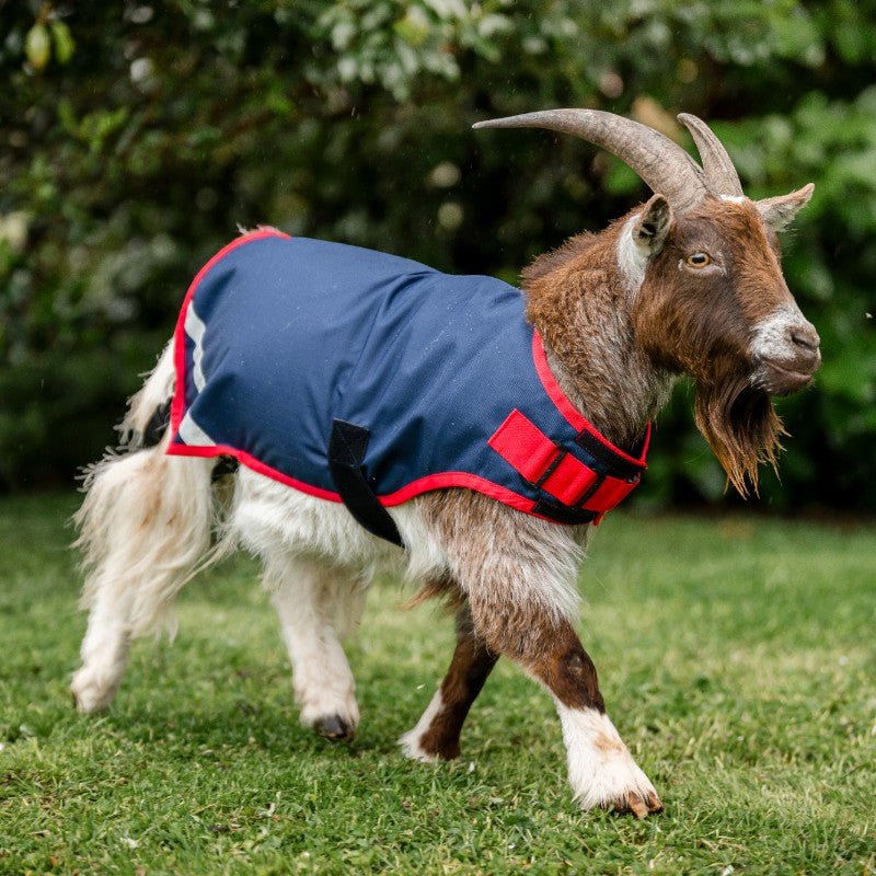 Horseware - Couverture pour chèvre marine/ rouge 0g | - Ohlala
