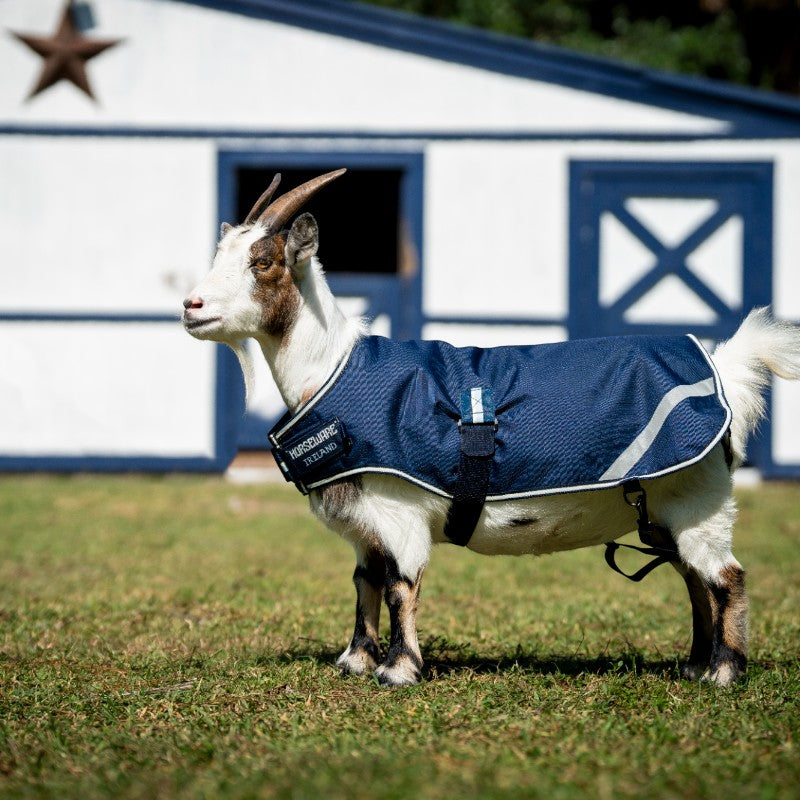 Horseware - Couverture pour chèvre witney navy 0g | - Ohlala