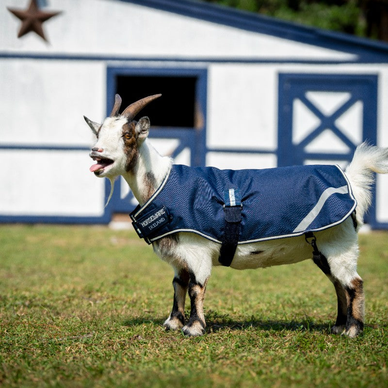 Horseware - Couverture pour chèvre witney navy 0g | - Ohlala