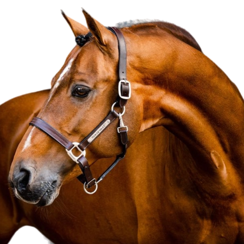 Horseware - Licol en cuir Signature marron