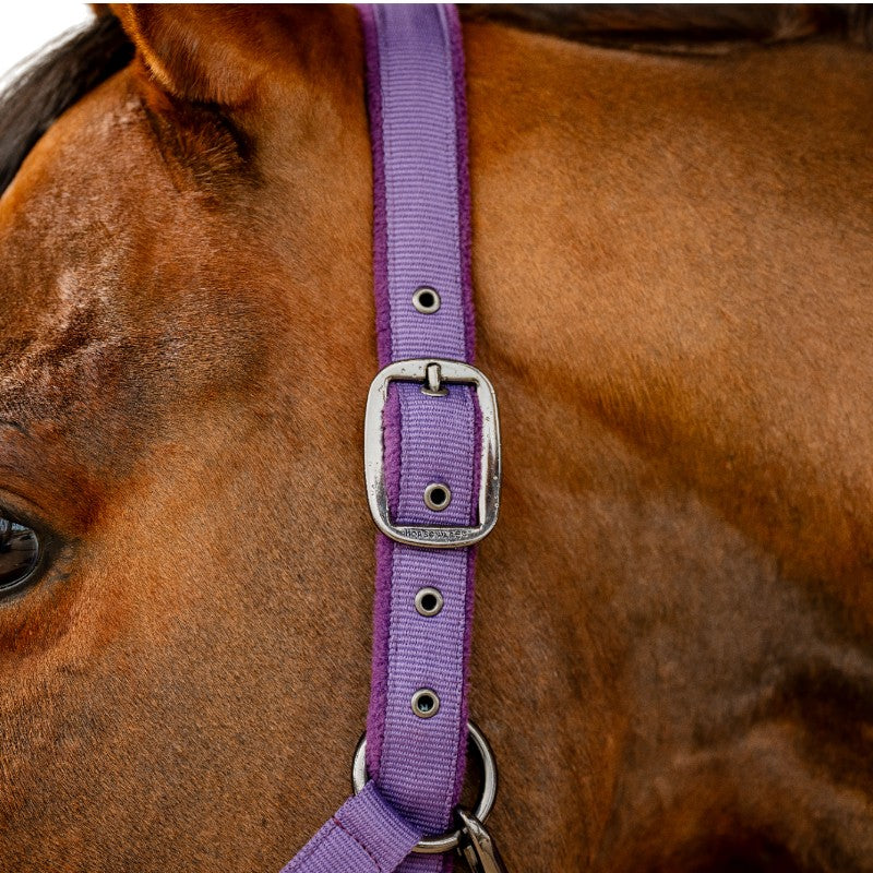 Horseware - Licol et longe Amigo winterberry | - Ohlala