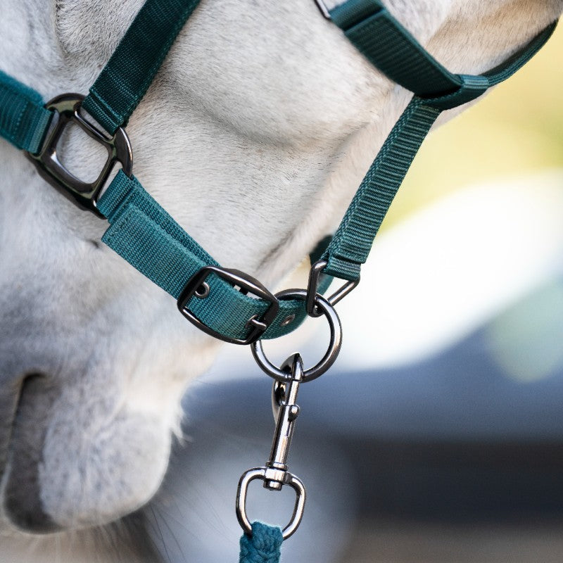 Horseware - Licol et longe dynasty green | - Ohlala