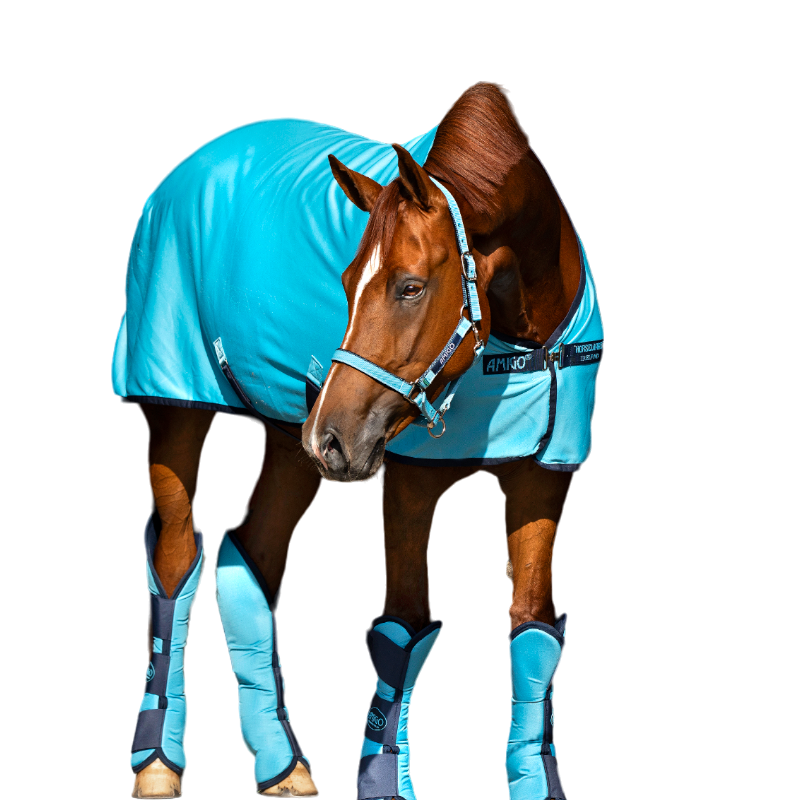 Horseware - Licol pour chevaux Amigo delphinium blue et marine