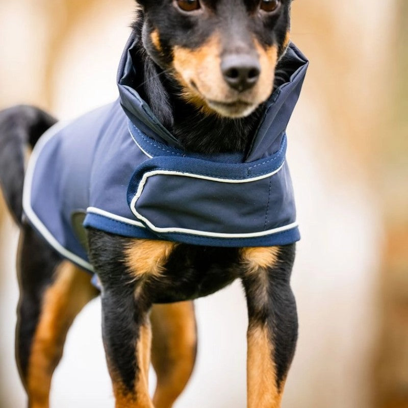 Horseware - Manteau imperméable pour chiens Signature marine | - Ohlala