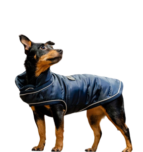 Horseware - Manteau pour chiens Signature marine 200g | - Ohlala