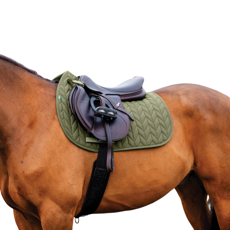 Horseware - Tapis de selle Amigo GP bramble | - Ohlala