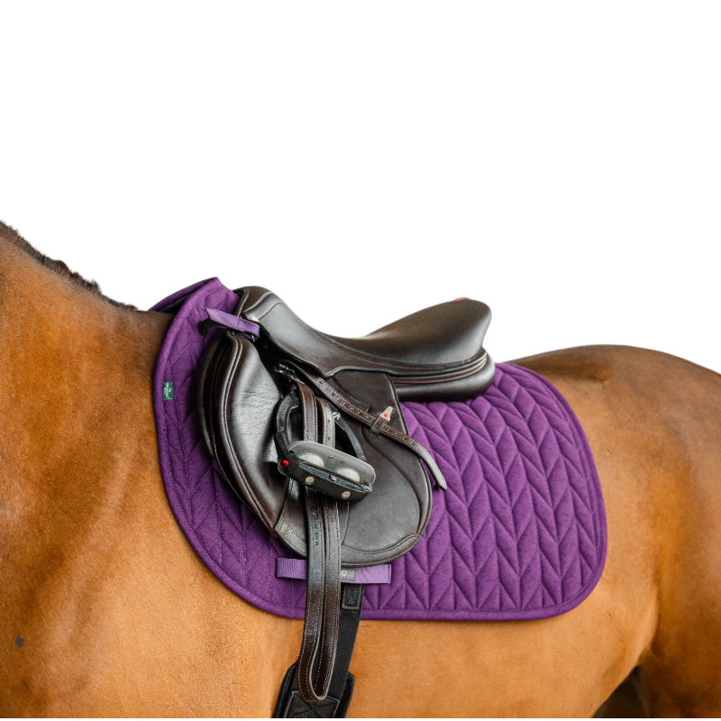 Horseware - Tapis de selle Amigo GP winterberry | - Ohlala