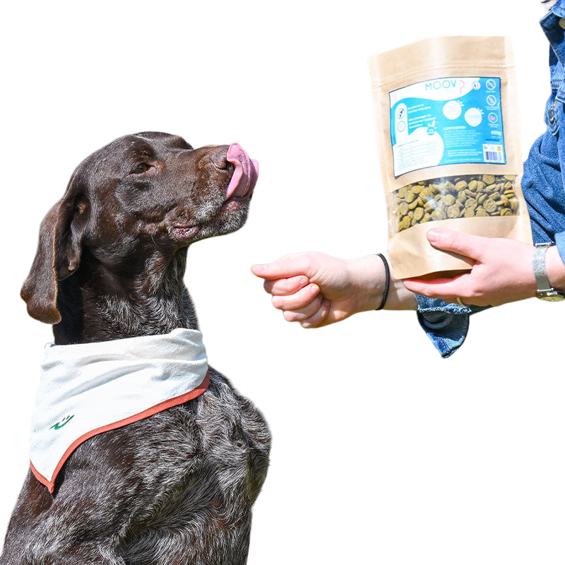 Happy Scoop - Complément alimentaire croquettes confort locomoteur Moov pour chiens | - Ohlala