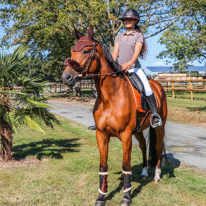 Antarès Sellier - Casque Référence Visière Eclipse Noir / Marron | - Ohlala