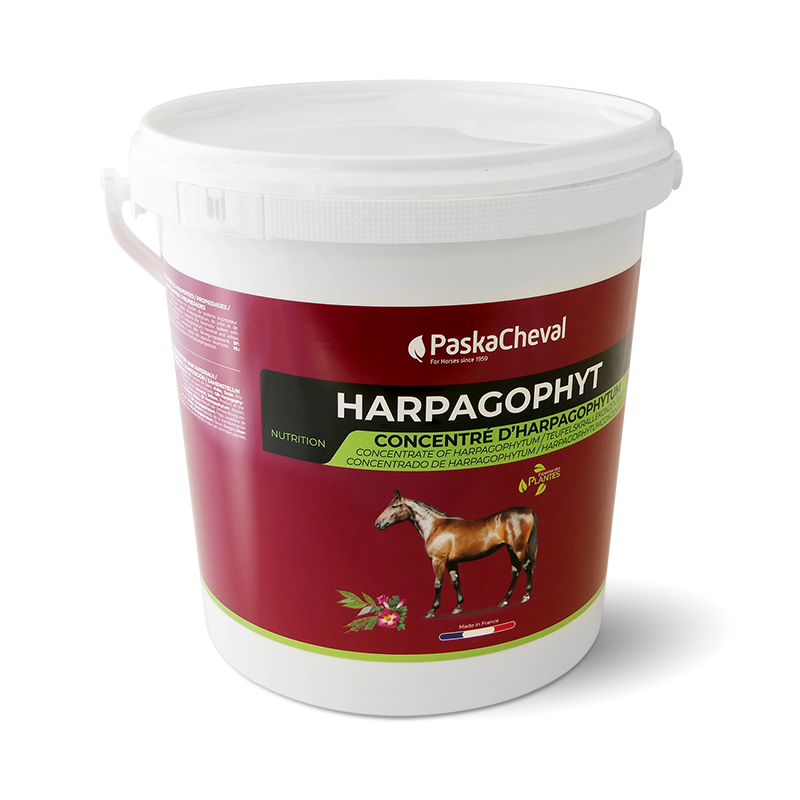Paskacheval - Complément alimentaire soutien articulaire Harpagophyt | - Ohlala