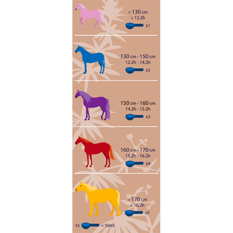 Hilton Herbs - Complément alimentaire Voies respiratoires freeway | - Ohlala