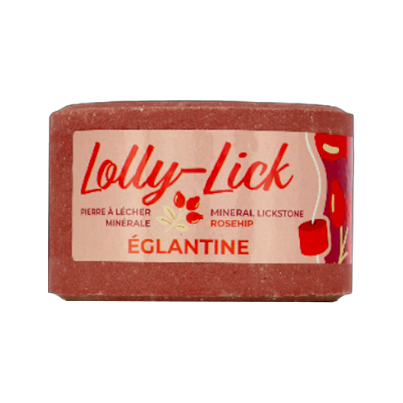 Hippotonic - Pierre à sel Lolly-Lick églantine 700g | - Ohlala