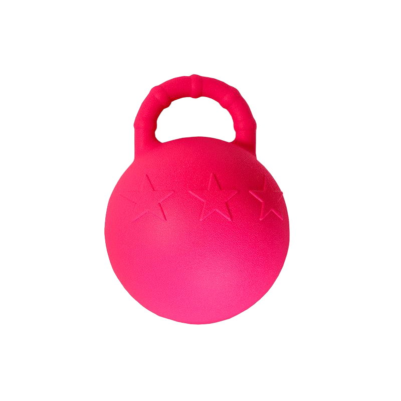 Hippotonic - Ballon à poignée fuchsia