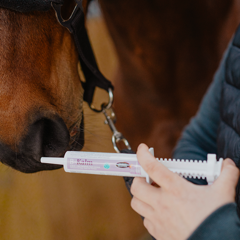 Horse Master - Complément alimentaire seringue concentré de L-Trytophane B-Kalm