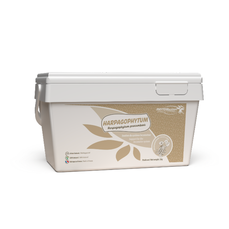 PhytoMaster - Complément alimentaire souplesse articulaire Harpagophytum Pur
