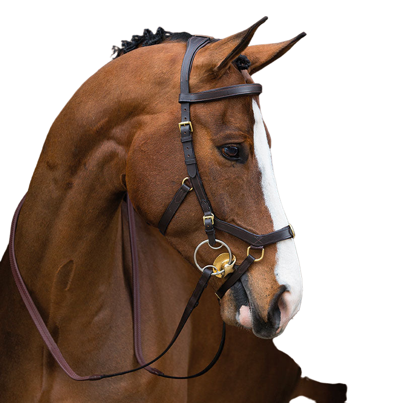 Horseware - Bridon Rambo Micklem multibride marron | - Ohlala