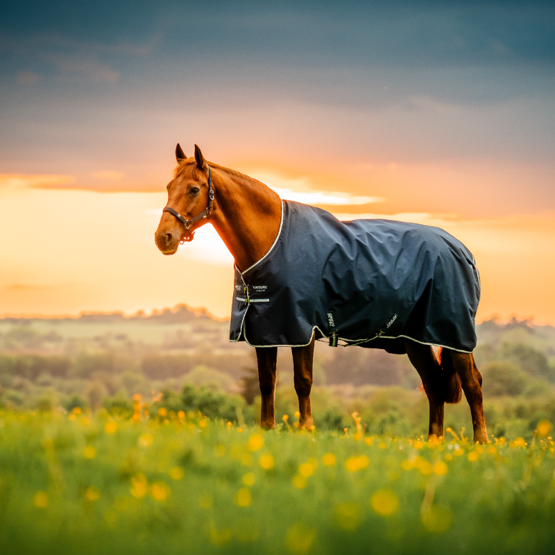 Horseware - Couverture d'extérieur Amigo Ripstop Pony Turnout witney navy 100g | - Ohlala