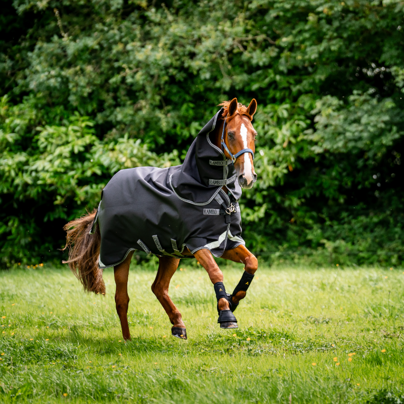 Horseware - Couverture d'extérieur Rambo Plus Turnout noir/ thunderstorm grey/ argent 100g | - Ohlala