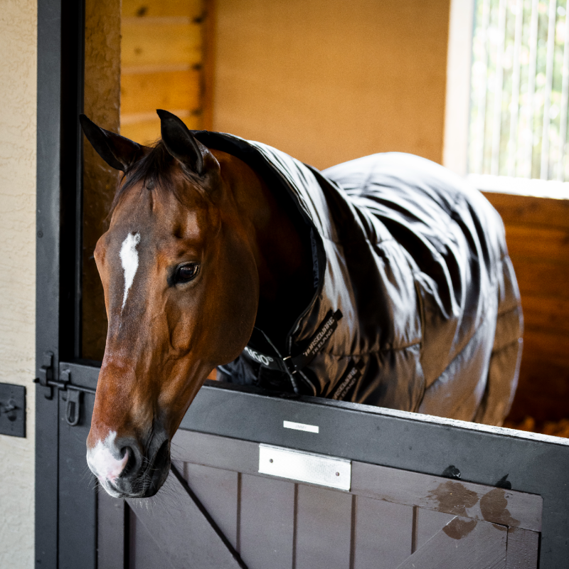 Horseware - Couverture de box Amigo Ripstop Insulator Plus Stable noir/ argent 200g | - Ohlala