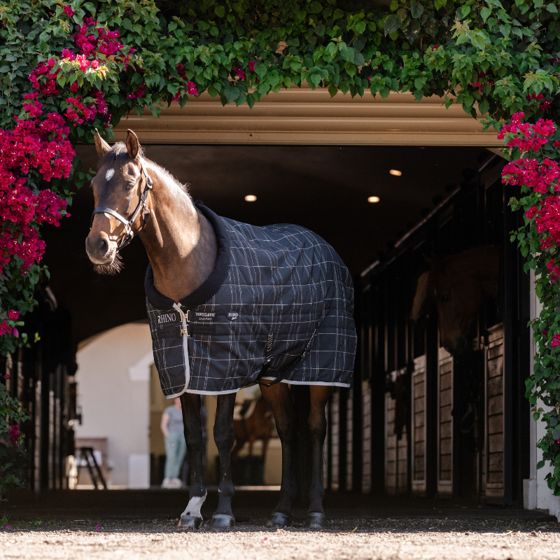Horseware - Couverture de box Rhino Pony Stable VL noir/ gris/ blanc à carreaux/ gris 250g | - Ohlala