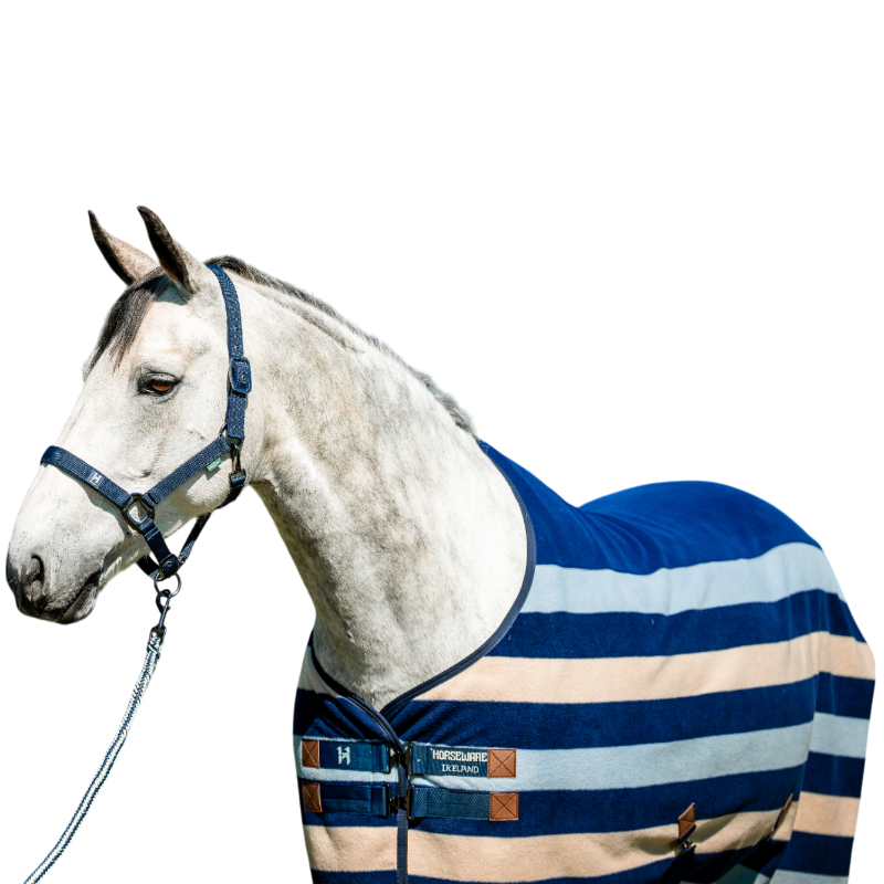 Horseware - Licol et longe Newmarket witney navy | - Ohlala