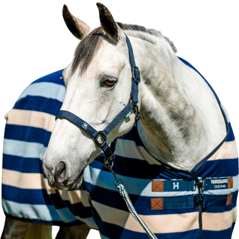 Horseware - Licol et longe Newmarket witney navy | - Ohlala