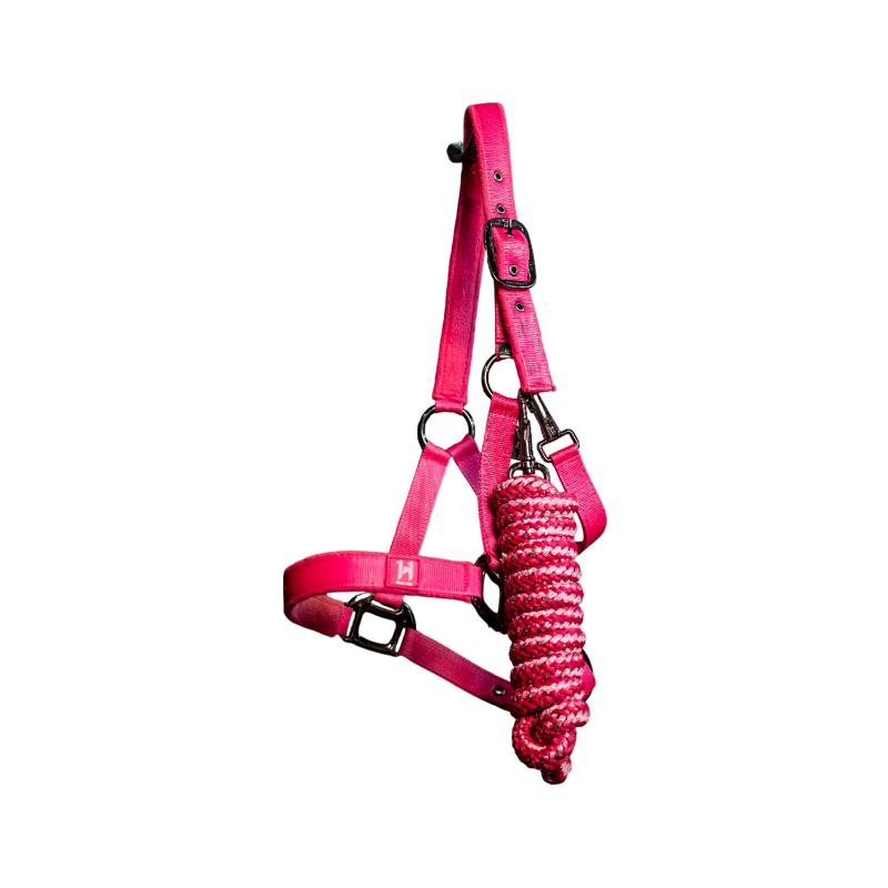 Horseware - Licol et longe Newmarket witney pink | - Ohlala