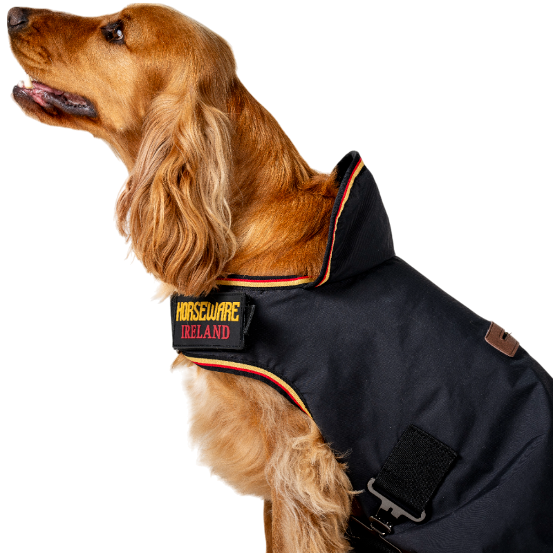 Horseware - Manteau pour chien Newmarket witney gold | - Ohlala