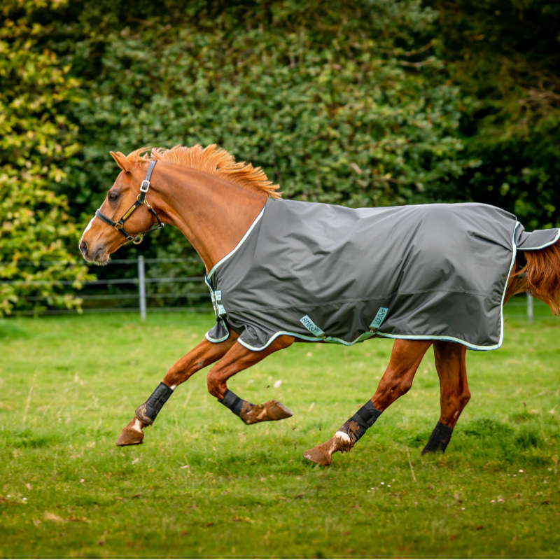 Horseware - Couverture d'extérieur Amigo Hero Ripstop Plus shadow/ blue haze/ marine 200g | - Ohlala