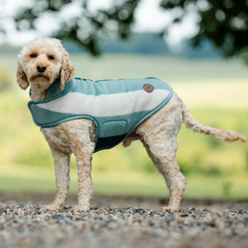 Horseware - Couverture pour chien Newmarket witney dynasty | - Ohlala