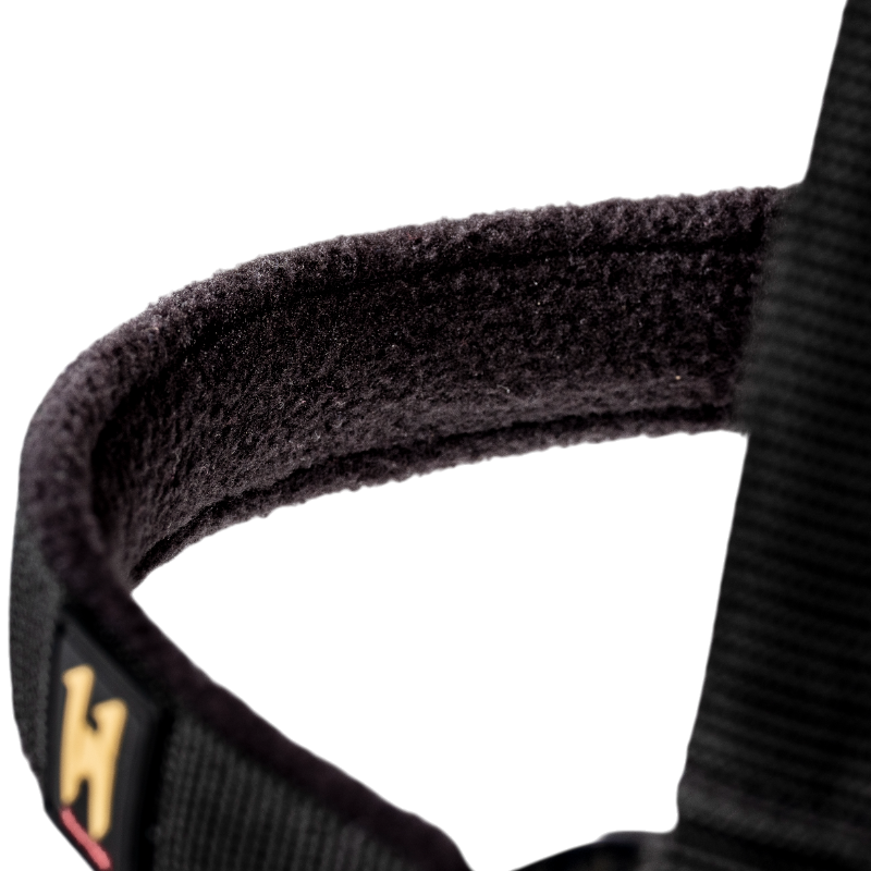 Horseware - Licol et longe Newmarket witney gold | - Ohlala