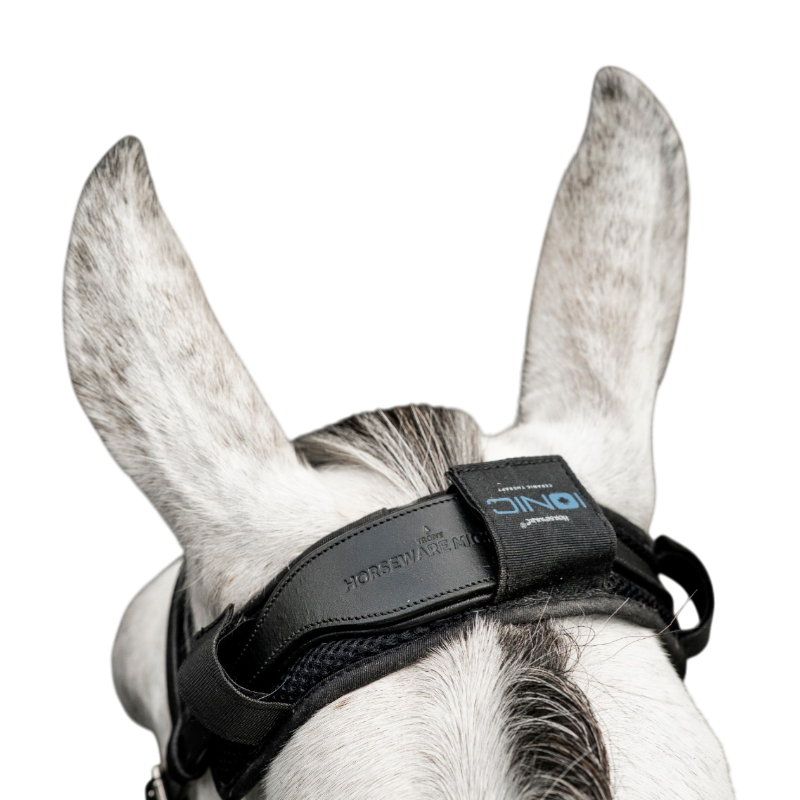 Horseware - Protège-nuque Ionic noir | - Ohlala