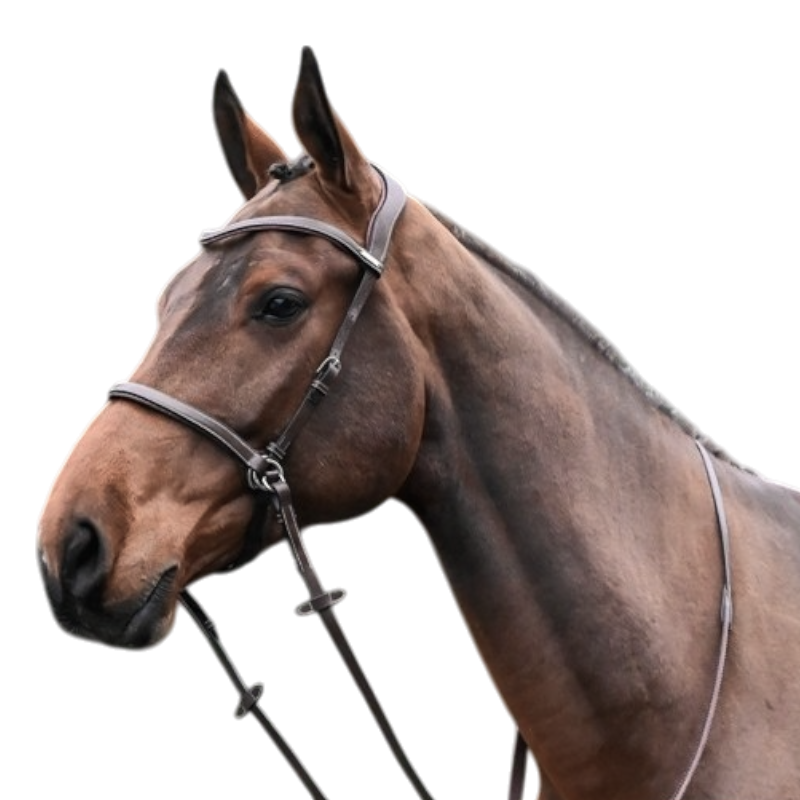 Jump'In - One bitless black bridle