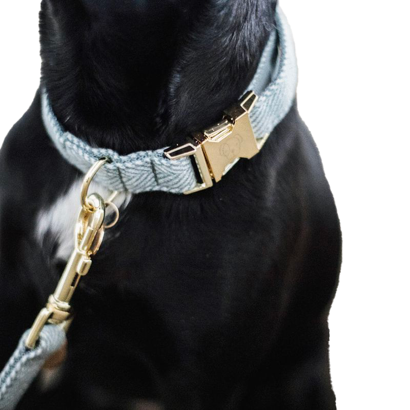 Kentucky Dogwear - lichtblauwe wollen honden ketting