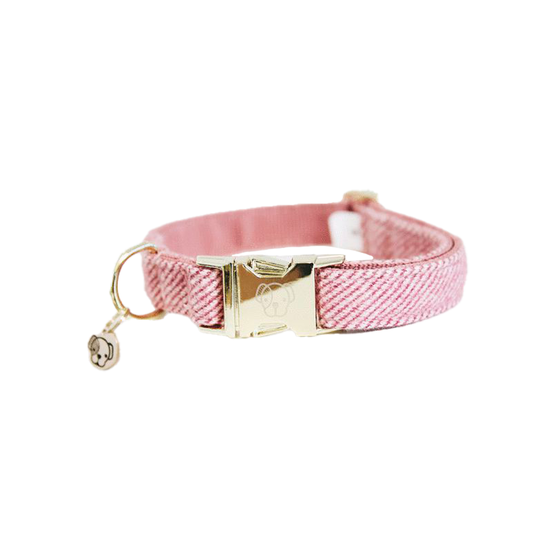 Kentucky Dogwear - Collier pour chiens Wool rose