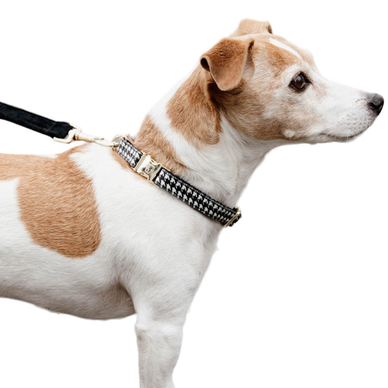 Kentucky Dogwear - Collier pour chien Pied de poule noir