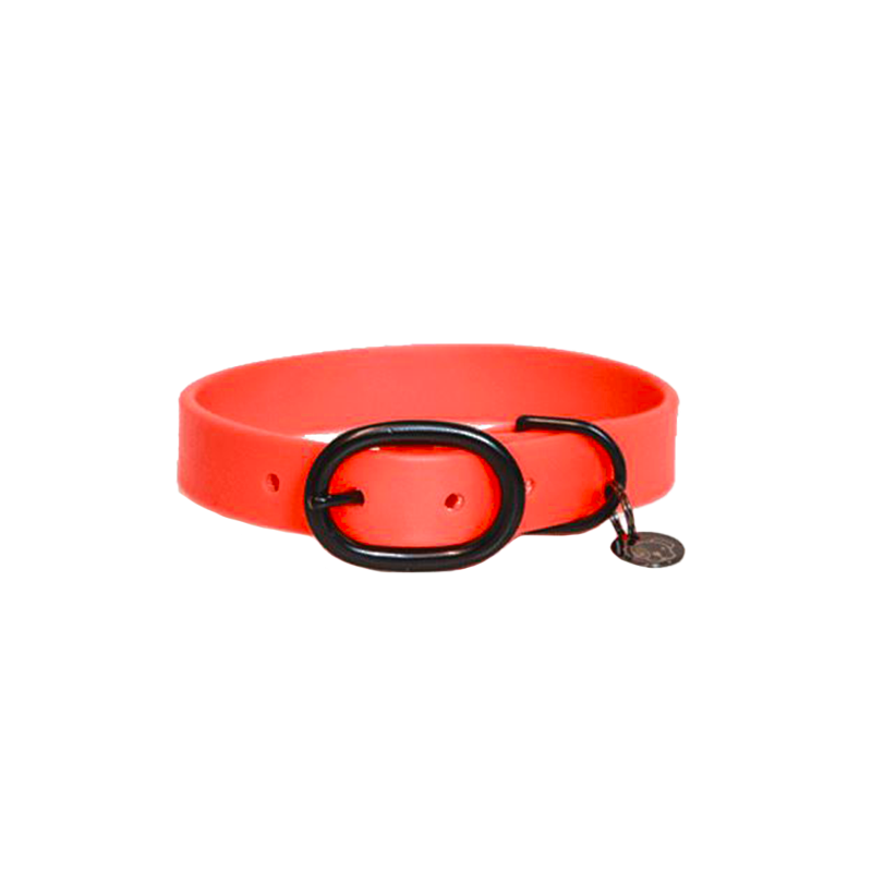 Kentucky Dogwear - Collier pour chien Soft Rubber orange