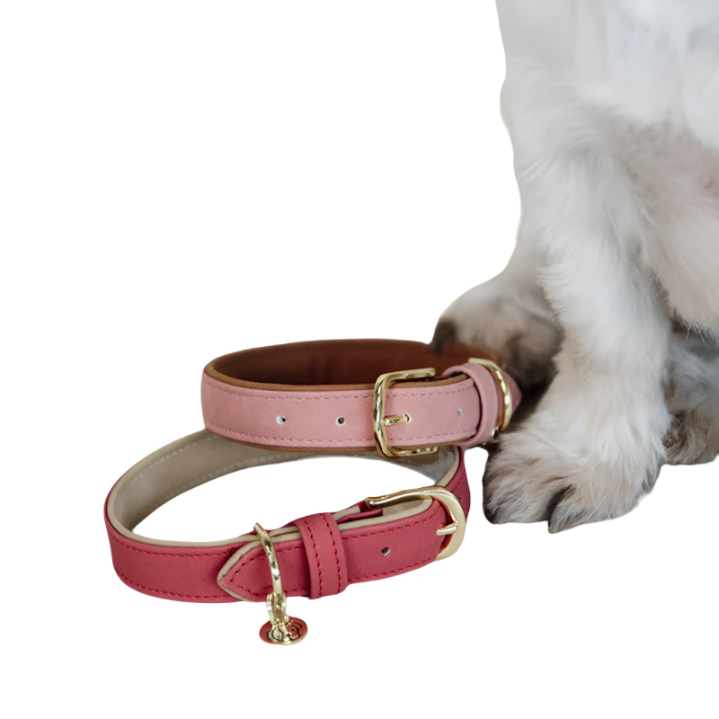 Kentucky Dogwear - Vegan leather peach/brown dog collar