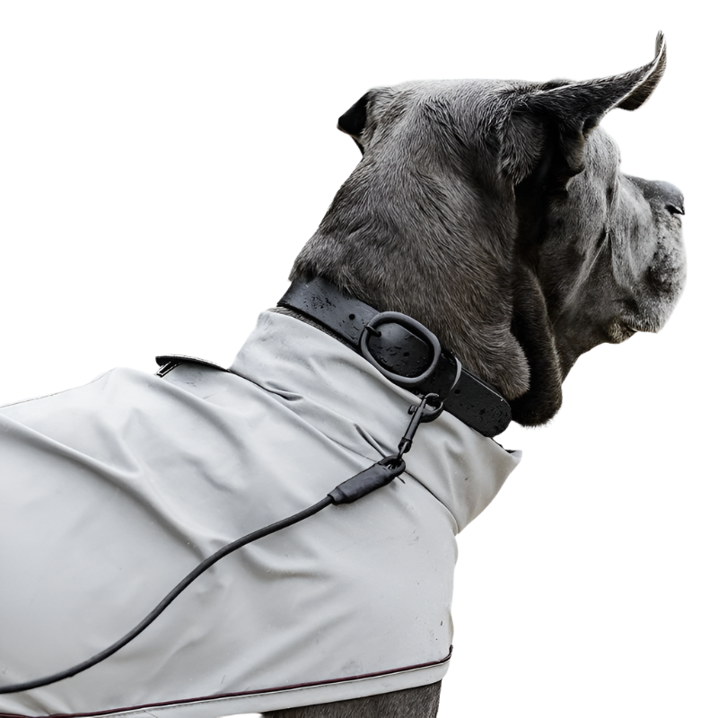 Kentucky Dogwear - Zwart zachte rubberen honden ketting