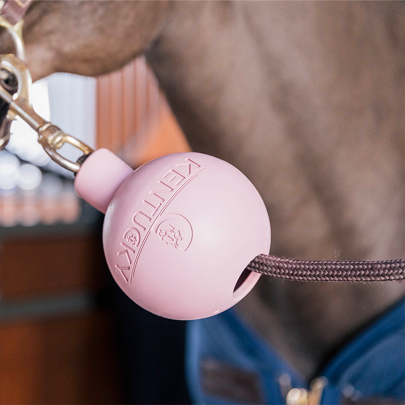 Kentucky Horsewear - Balle de protection d'attache vieux rose | - Ohlala