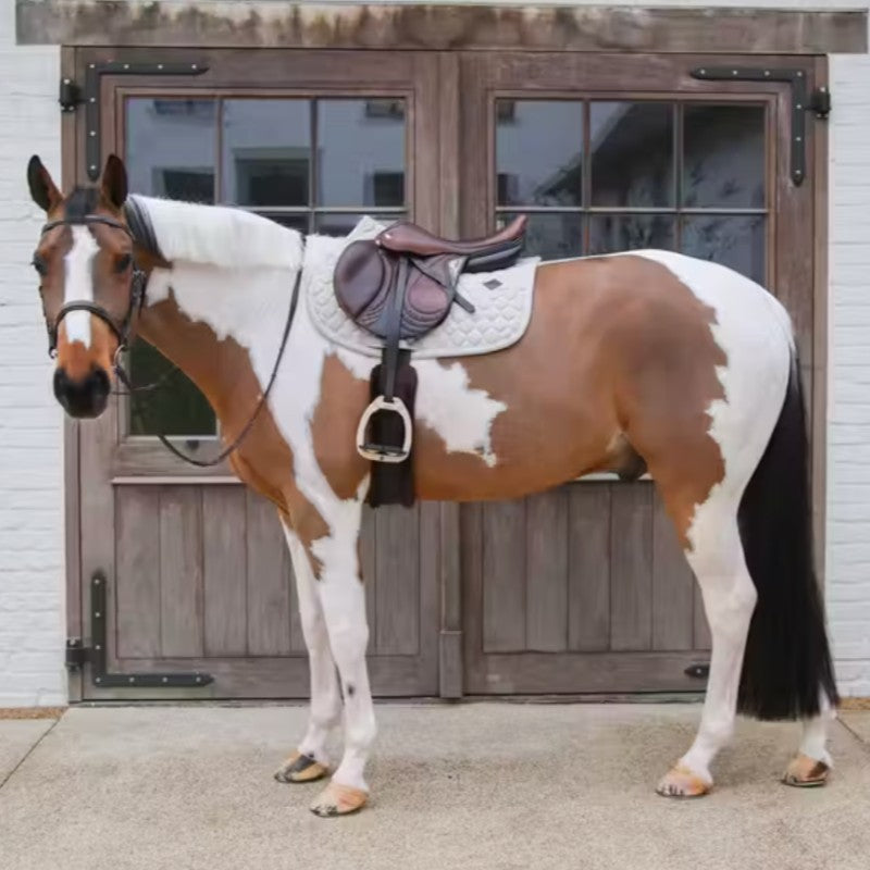 Kentucky Horsewear - Tapis de selle Melange beige | - Ohlala