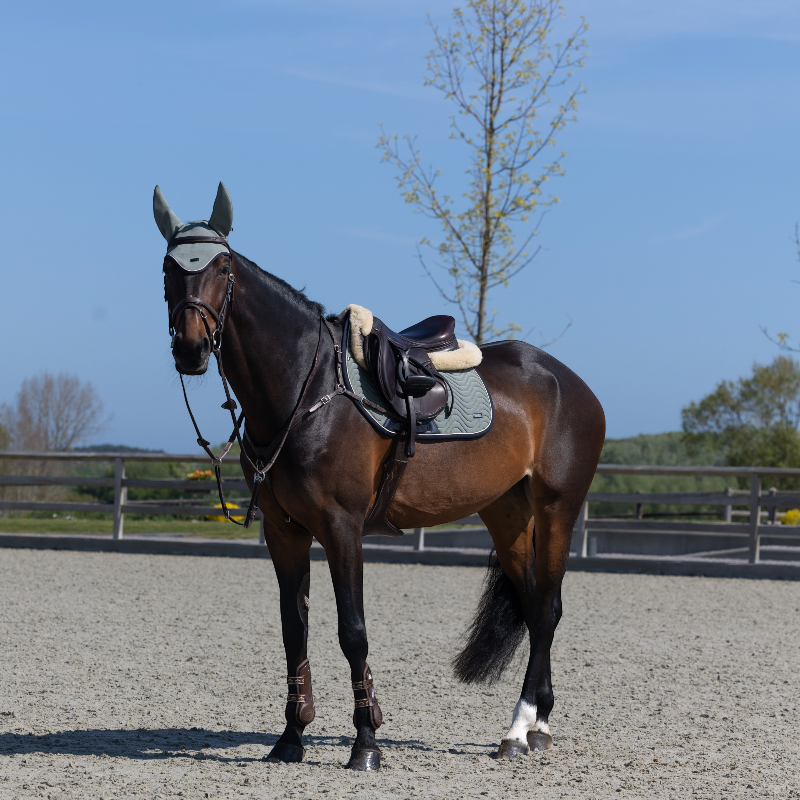 Kingsland - Tapis de selle KLLucca Cooling green agave | - Ohlala