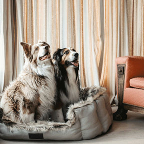 Kentucky Horsewear - Panier pour chiens Cave | - Ohlala