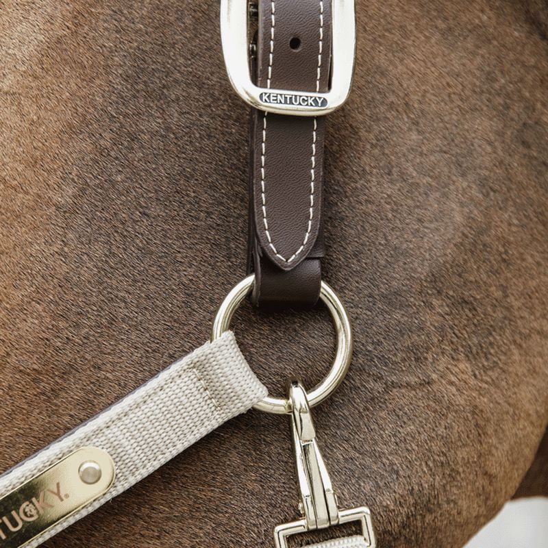 Kentucky Horsewear - Licol anatomique nylon beige | - Ohlala