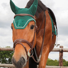 Kentucky Horsewear - Bonnet Wellington velvet vert foncé | - Ohlala