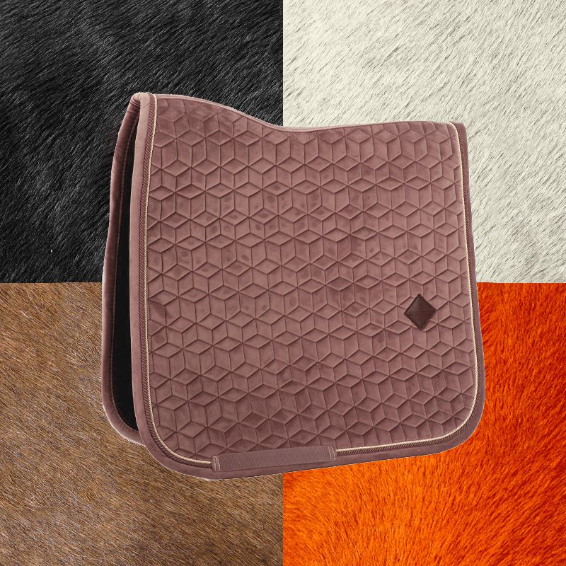 Kentucky Horsewear - Tapis de dressage Velvet Parme | - Ohlala