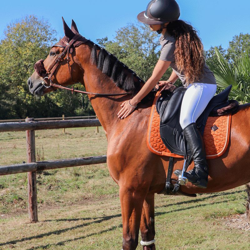 Antarès Sellier - Casque Référence Visière Eclipse Noir / Marron | - Ohlala