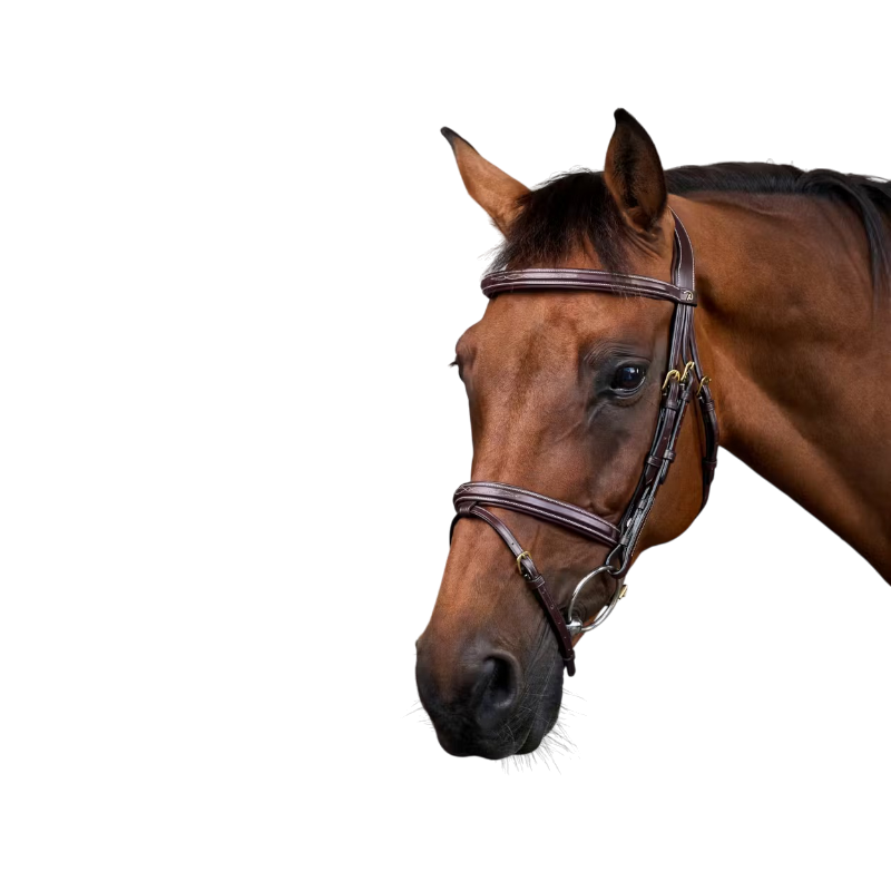 Dyon - Combined noseband bridle Dy'on Brown Collection 