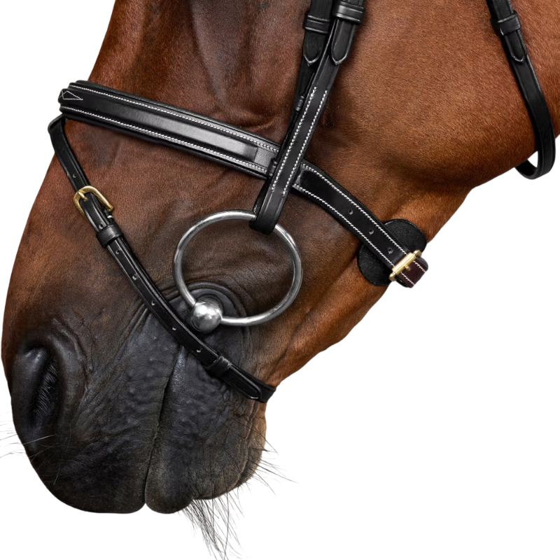 Dyon - Dy'on collectie gecombineerde neusriem zwart 